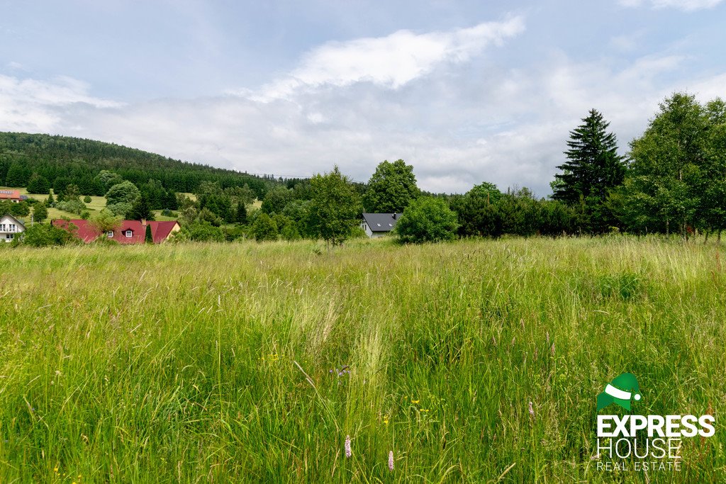 Działka budowlana na sprzedaż Stronie Śląskie  4 069m2 Foto 13