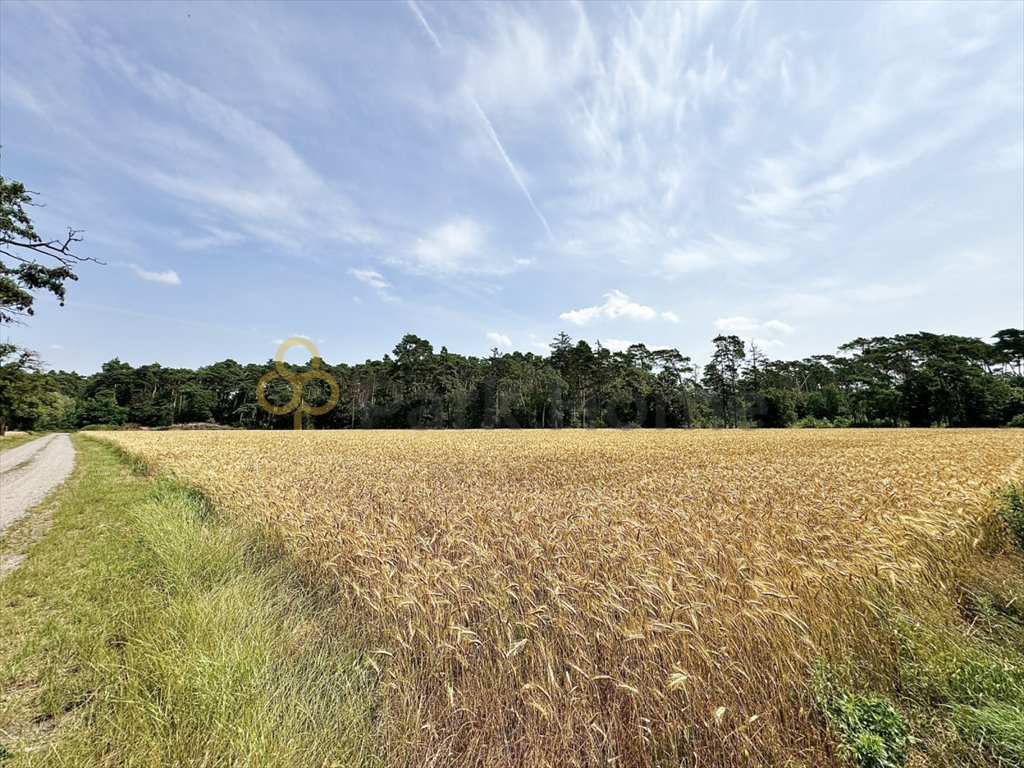 Działka pod dom z warunkami zabudowy, las, media, Srocko Srocko Małe  1 348m2 Foto 1