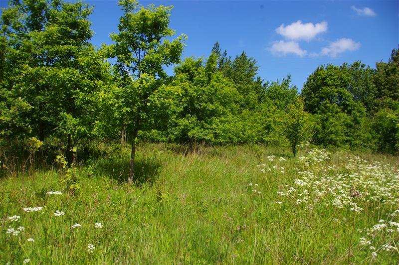 Działka siedliskowa na sprzedaż Jeżyce, Jeżyce  61 000m2 Foto 10