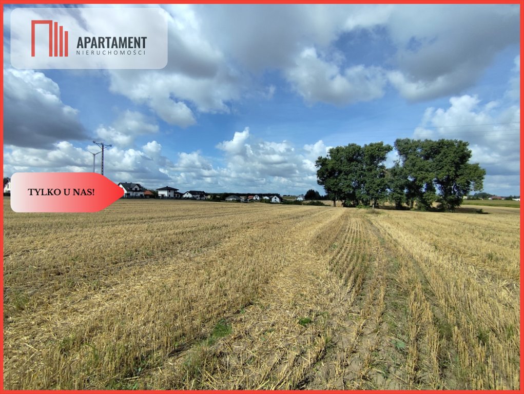 Działka budowlana na sprzedaż Witunia  1 500m2 Foto 1