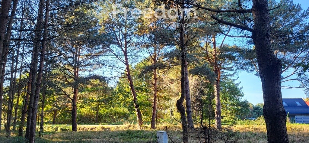 Działka budowlana na sprzedaż Smołdziński Las  3 776m2 Foto 10