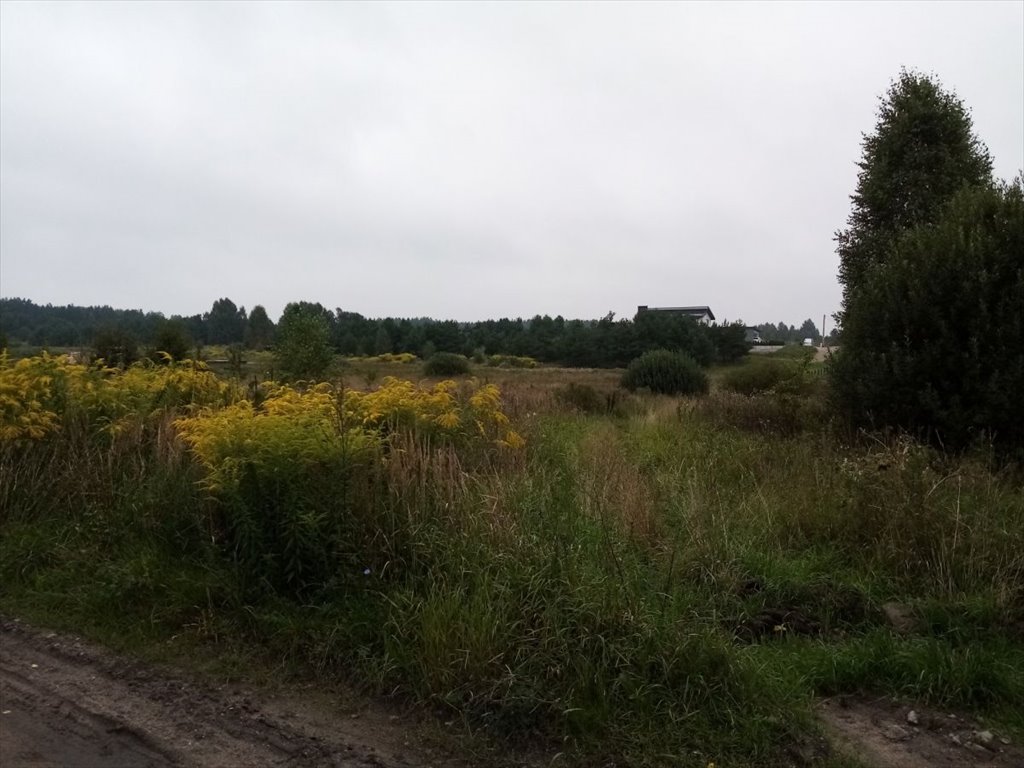 Działka budowlana na sprzedaż Karakule  2 500m2 Foto 2