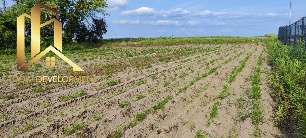 Działka inwestycyjna 3 800 m² pod zabudowę jednorodzinną Podolszyn  3 800m2 Foto 1