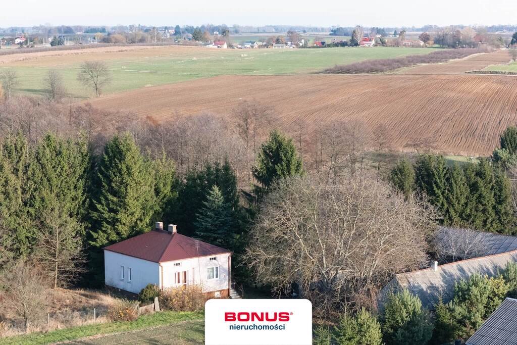 Do sprzedania urokliwe siedlisko 150 m² z dużym potencjałem Chruszczów-Kolonia  150m2 Foto 1