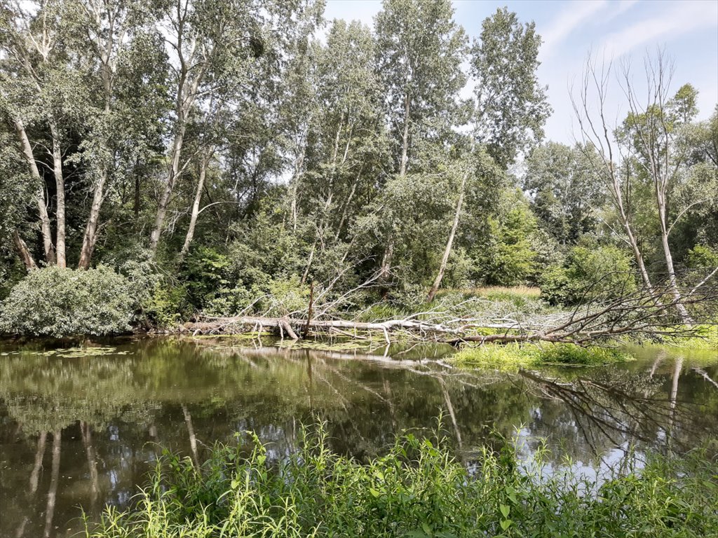 Mieszkanie dwupokojowe na sprzedaż Wrocław, Krzyki, Przedmieście Oławskie  37m2 Foto 13