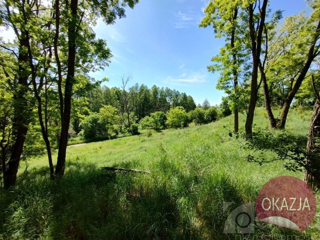 Działka inna na sprzedaż Stary Błeszyn  1 500m2 Foto 4