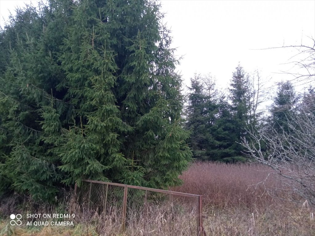 Działka gospodarstwo rolne na sprzedaż Przechody  4 200m2 Foto 1