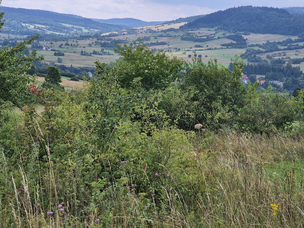 Działka rolna na sprzedaż Posada Jaśliska  9 300m2 Foto 5