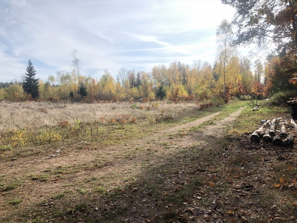 Działka budowlana na sprzedaż Grabówka  976m2 Foto 2