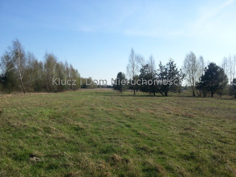 Działka rolna na sprzedaż Prace Małe 30 000m2 Foto 1 Działka rolna na sprzedaż Prace Małe 30 000m2 Foto 1