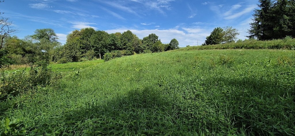 Działka budowlana na sprzedaż Rybotycze  4 300m2 Foto 5