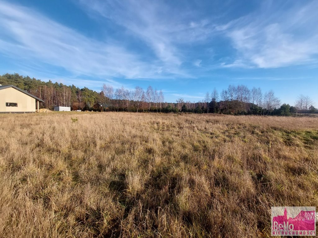 Działka inna na sprzedaż Warząchewka Królewska  1 400m2 Foto 3