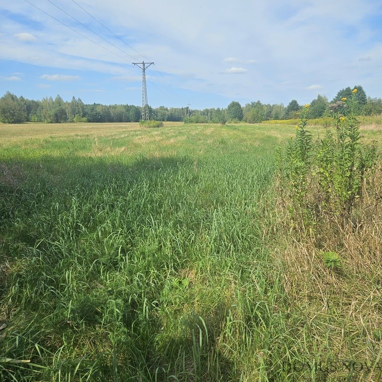 Działka rolna na sprzedaż Prace Małe, Polna  27 892m2 Foto 7