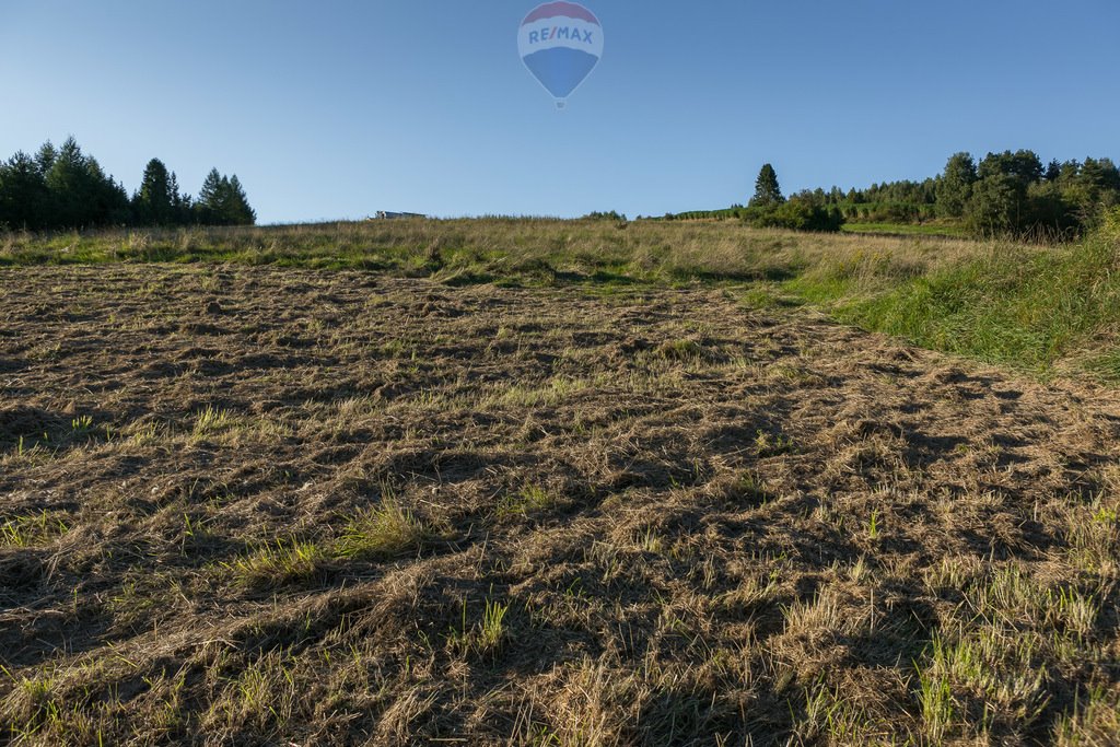 Działka budowlana na sprzedaż Łopuszna  1 261m2 Foto 16