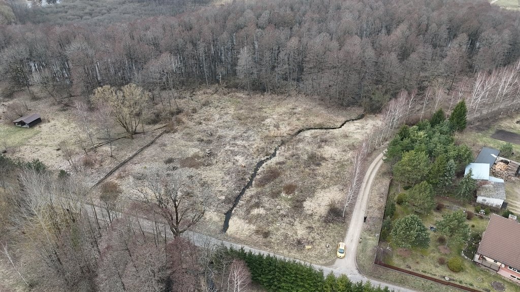 Działka rolna na sprzedaż Rogojny  3 000m2 Foto 9