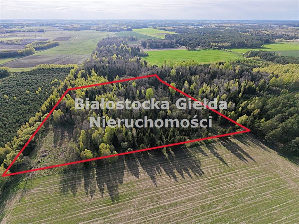 Działka 1,91 ha z lasem i warunkami zabudowy polecam Iwanki  1 910m2 Foto 1