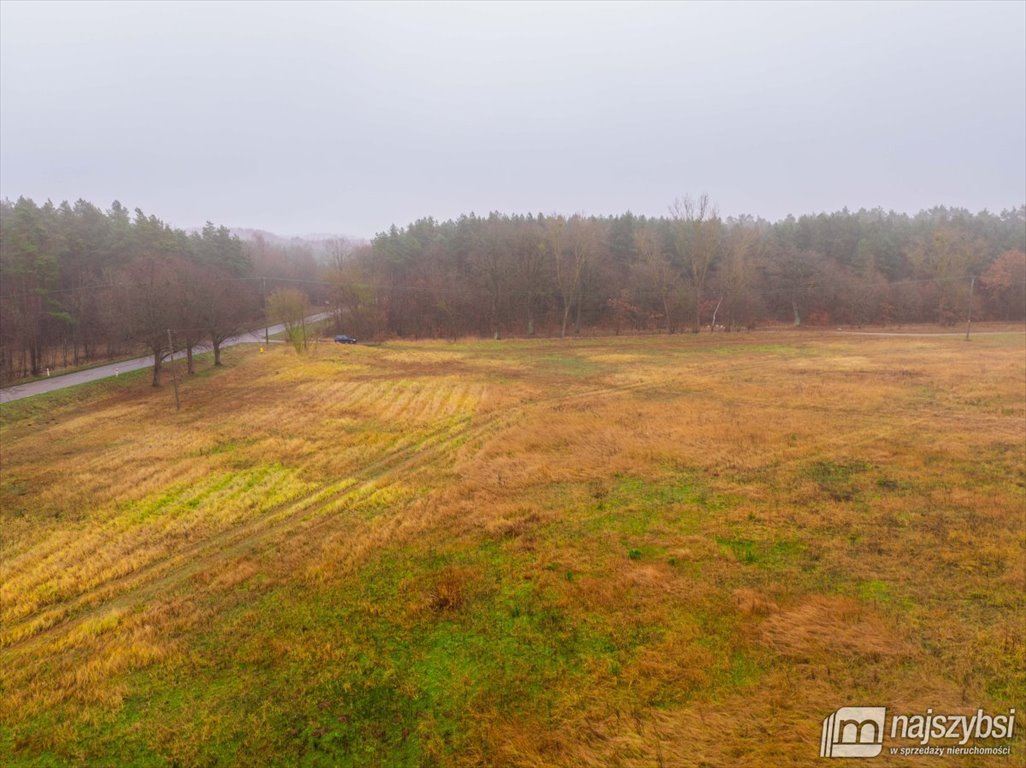 Działka inna na sprzedaż Nowogard, obrzeża  8 137m2 Foto 11