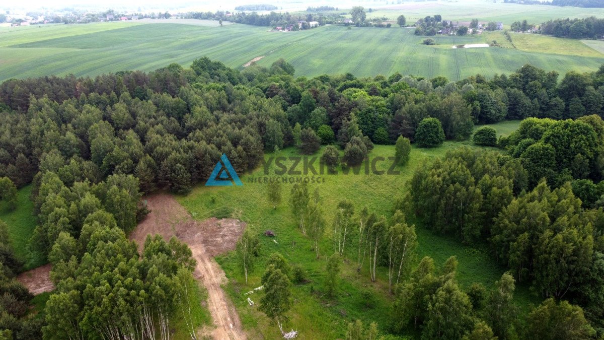 Działka budowlana na sprzedaż Graniczna Wieś  3 001m2 Foto 2