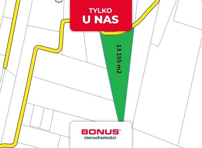 Działka rolna 13 155 m² w Teodorówce – idealna inwestycja Teodorówka  13 155m2 Foto 1