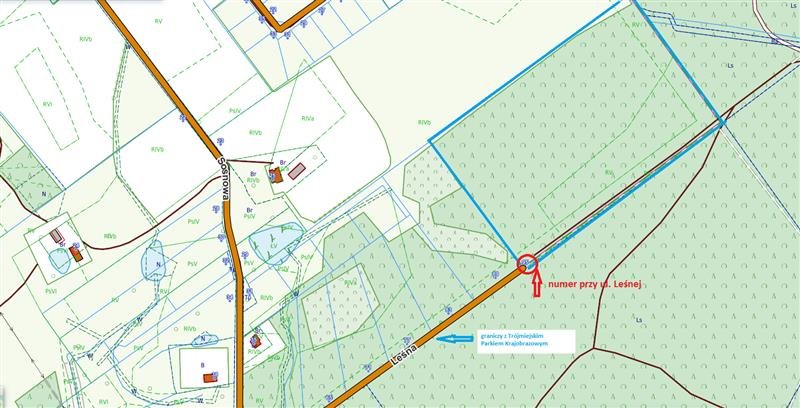 Działka pod zabudowę w Sopieszynie, las, 44 000 m2 Sopieszyno, Leśna  44 000m2 Foto 1