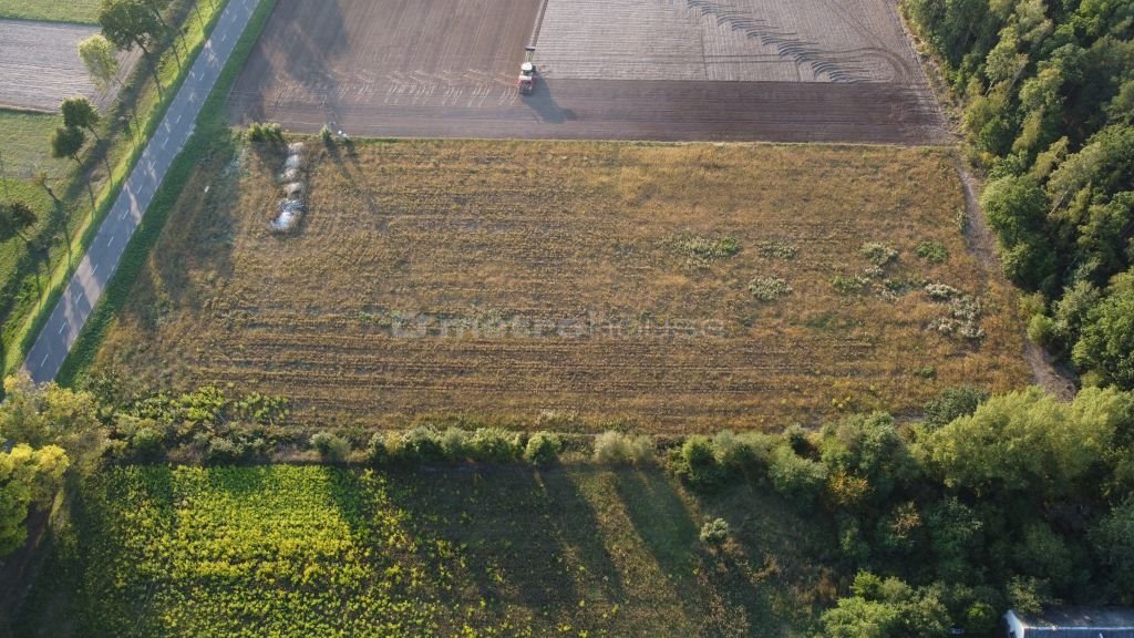 Działka inna na sprzedaż Wola Mystkowska  1 000m2 Foto 2