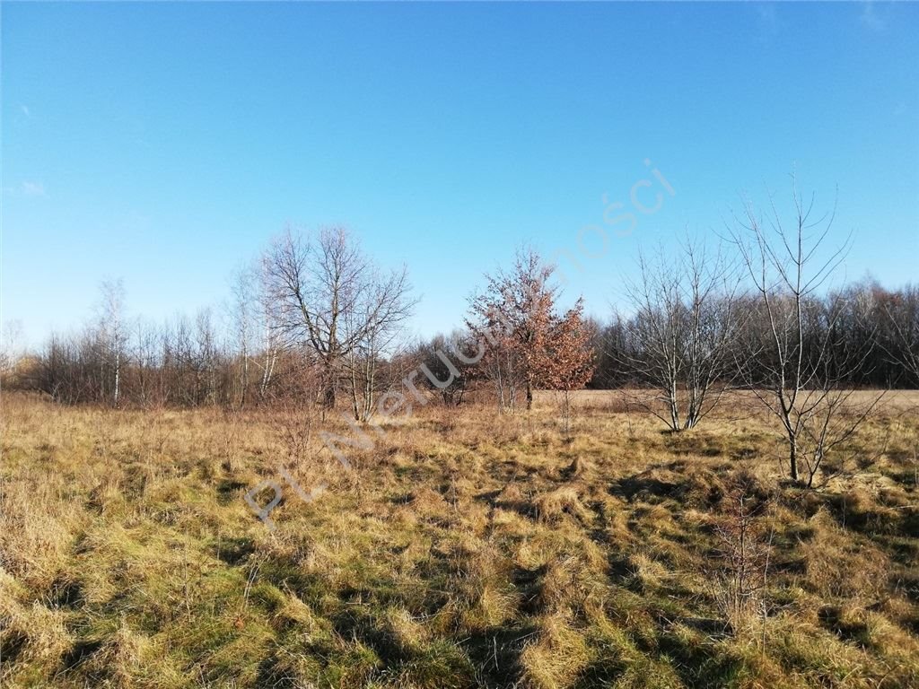 Działka budowlana 5506 m² z mediami i możliwością podziału Milanówek  5 506m2 Foto 1