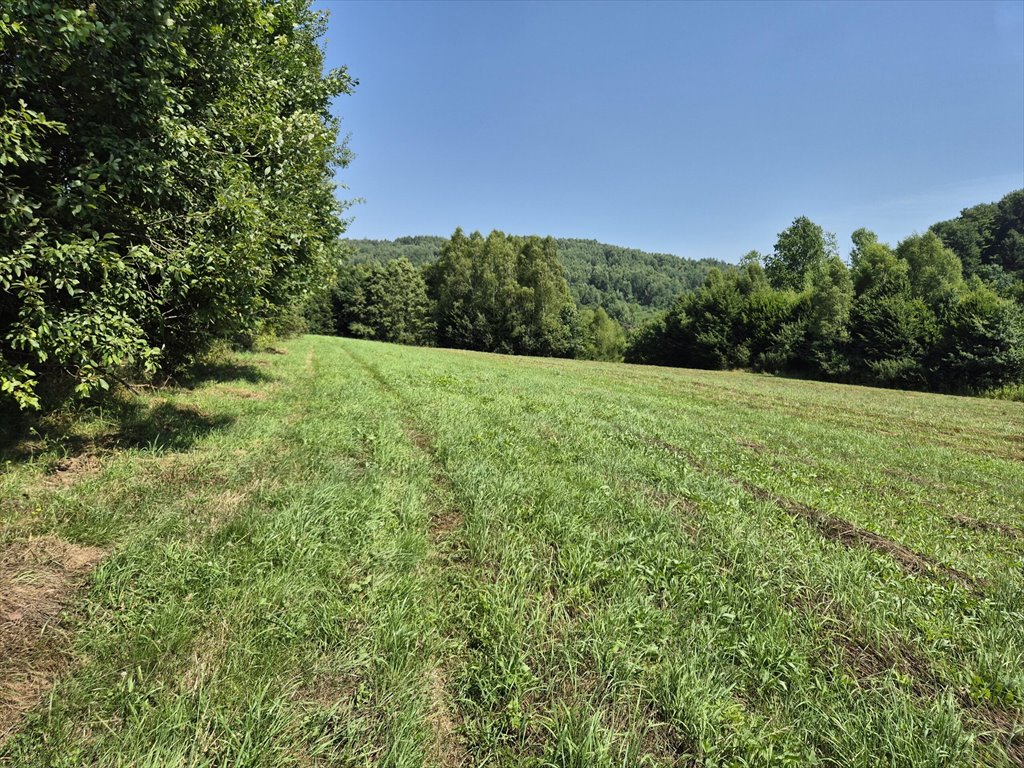 Działka rolna na sprzedaż Golcowa  8 051m2 Foto 9