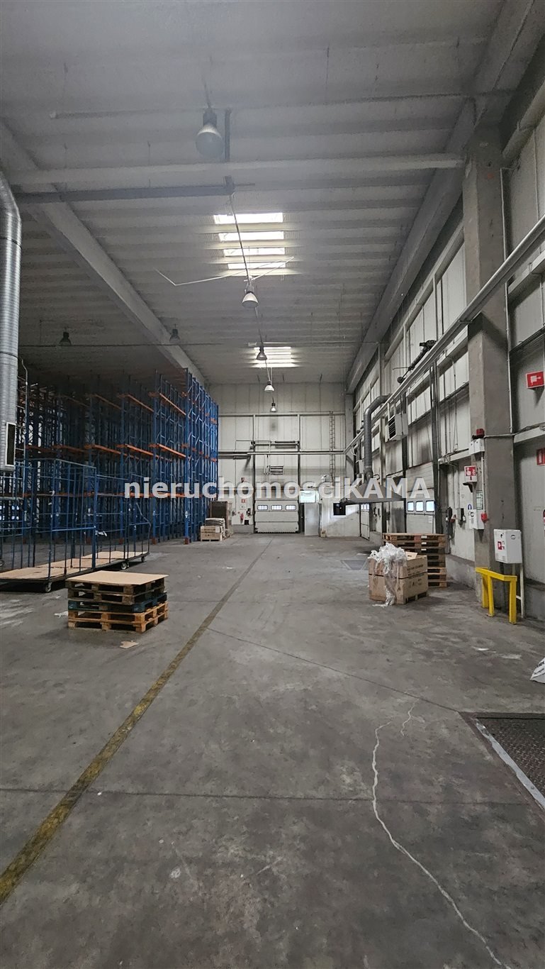 Magazyn na wynajem Czechowice-Dziedzice  4 600m2 Foto 4