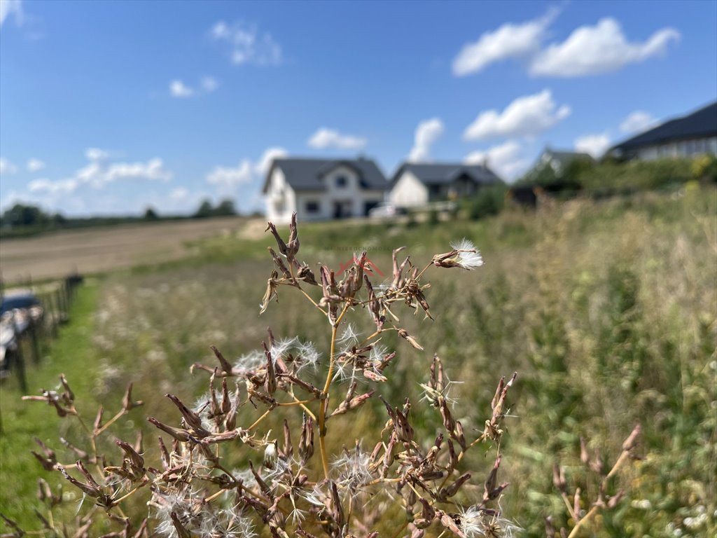 Działka budowlana na sprzedaż Jajkowo, Jajkowo  1 042m2 Foto 1