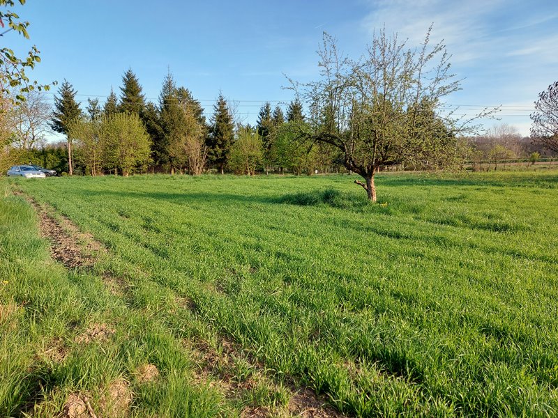 Działka budowlana na sprzedaż Marklowice Górne  1 122m2 Foto 3