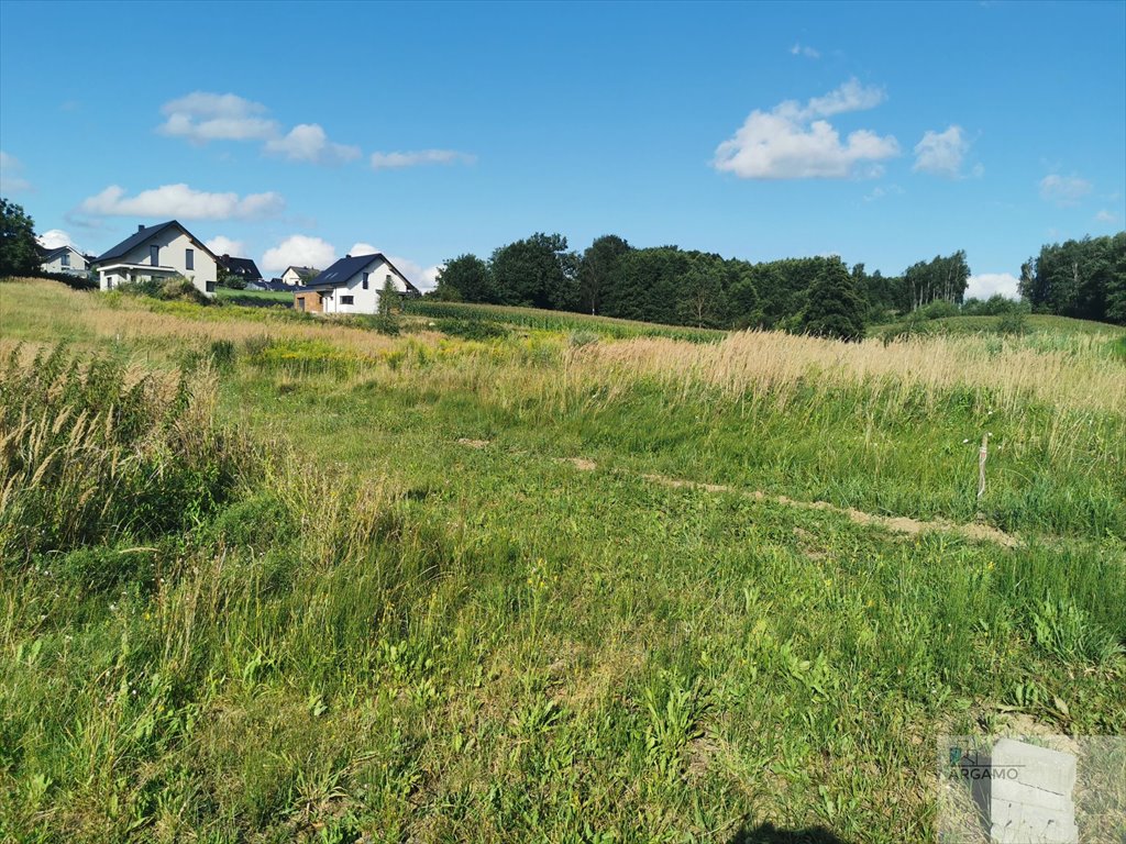 Działka budowlana na sprzedaż Wodzisław Śląski  990m2 Foto 10