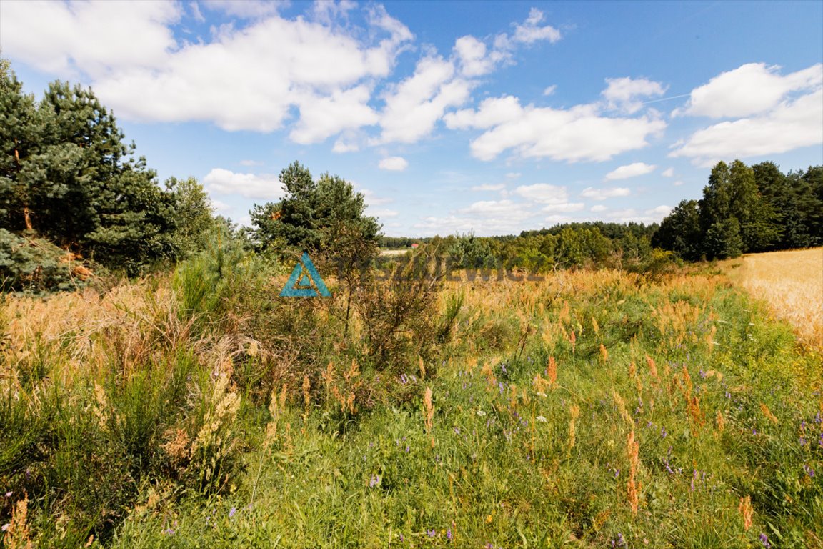 Działka rolna na sprzedaż Czarna Dąbrówka, Kaszubska  30 100m2 Foto 11