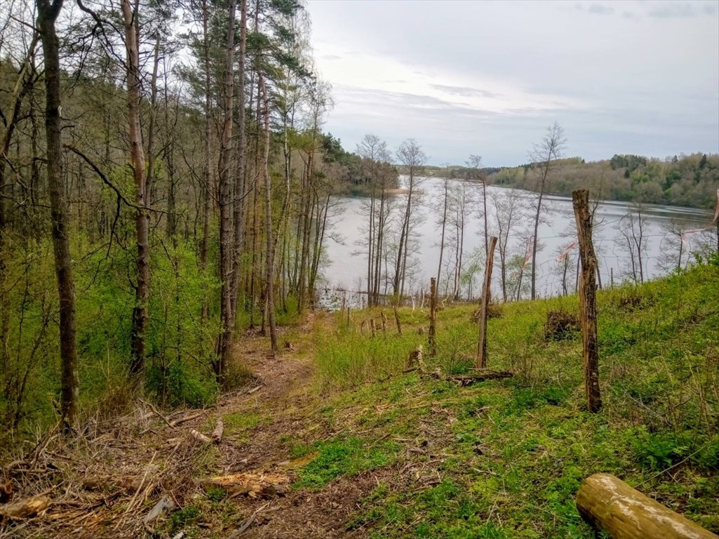 Działka rekreacyjna na sprzedaż Stare Juchy, Stare Juchy  3 000m2 Foto 6