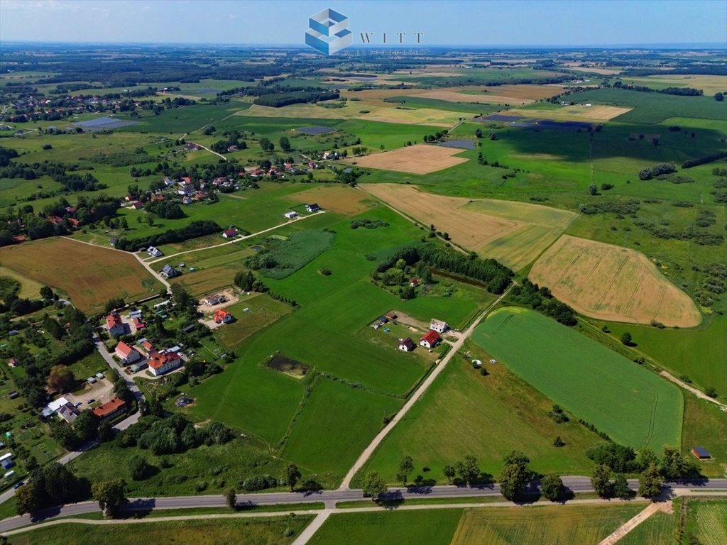 Zdjęcie 6