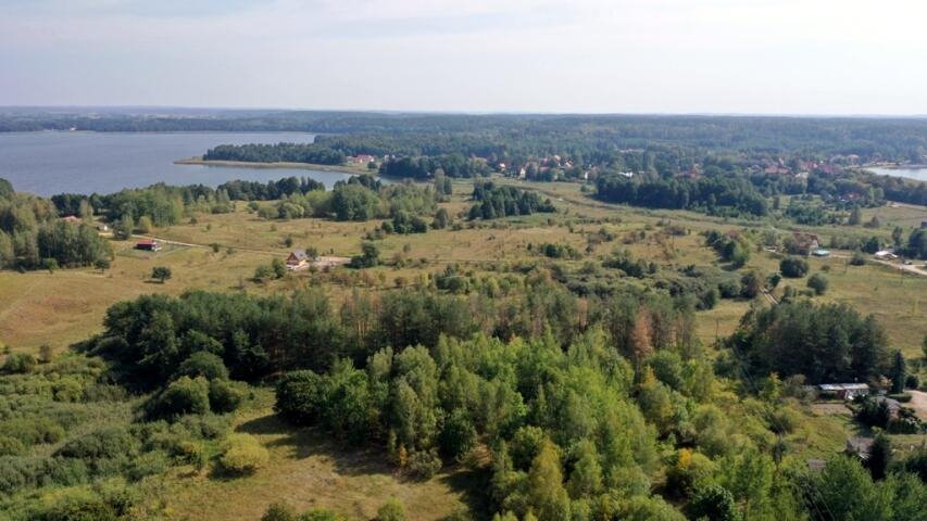 Działka budowlana na sprzedaż Ogonki  8 100m2 Foto 10