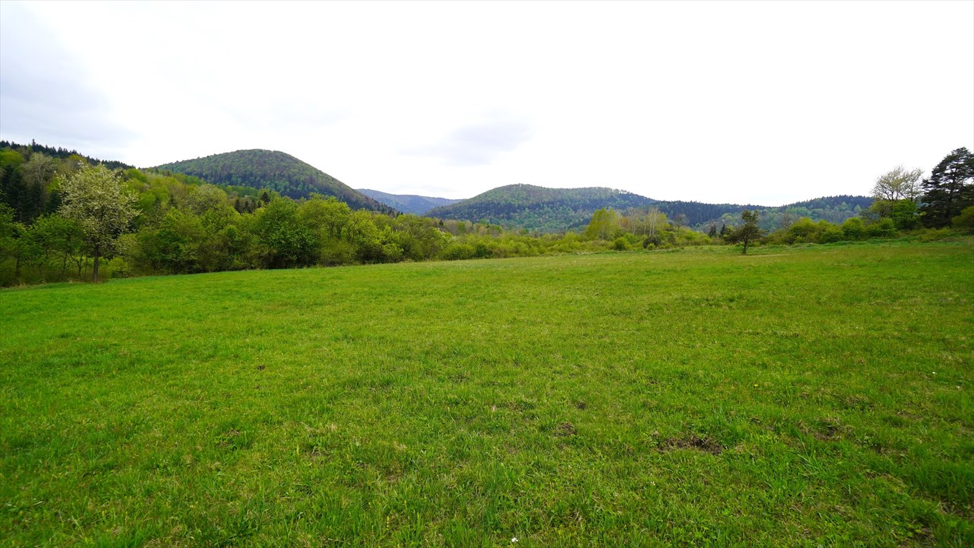 Działka rolna na sprzedaż Kunkowa  28 200m2 Foto 3