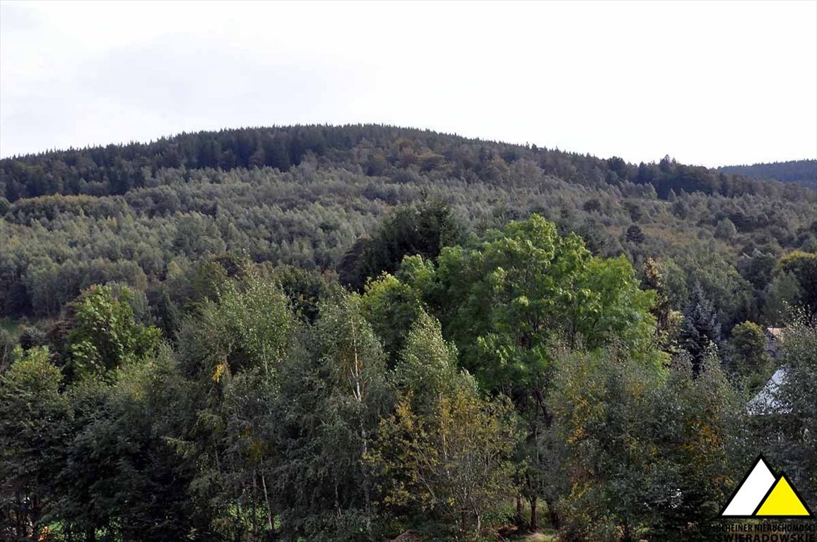 Działka budowlana na sprzedaż Gierczyn  2 500m2 Foto 2