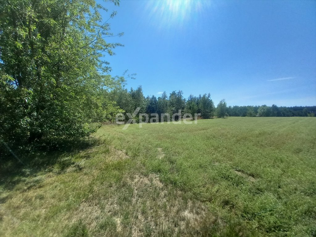 Działka rolna na sprzedaż Likiec  29 100m2 Foto 4