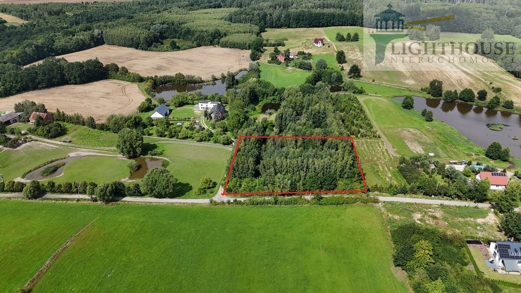 Działka rolna na sprzedaż Trąbki Małe, Ogrodowa  5 500m2 Foto 1