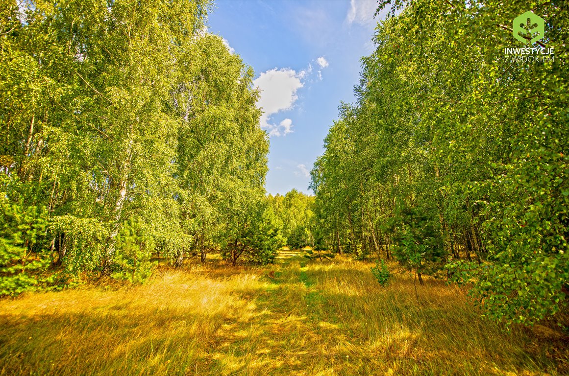 Działka budowlana na sprzedaż Rynia, Działki budowlane na nowym osiedlu przy lesie  732m2 Foto 6