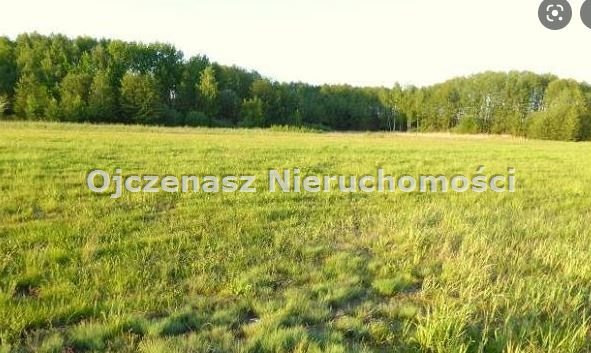 Działka rolna z warunkami zabudowy, 21 240 m², Czarnowo Czarnowo  21 240m2 Foto 1