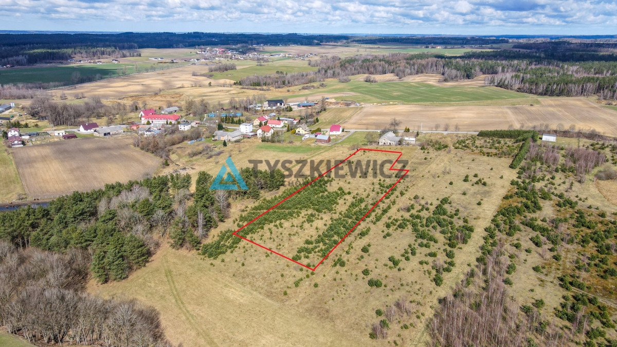 Działka rolna na sprzedaż Zakrzewo  3 000m2 Foto 6