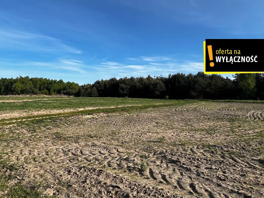 Na sprzedaż 1,67 ha ziemi rolnej w Desznie z zadrzewieniami Deszno  16 700m2 Foto 1