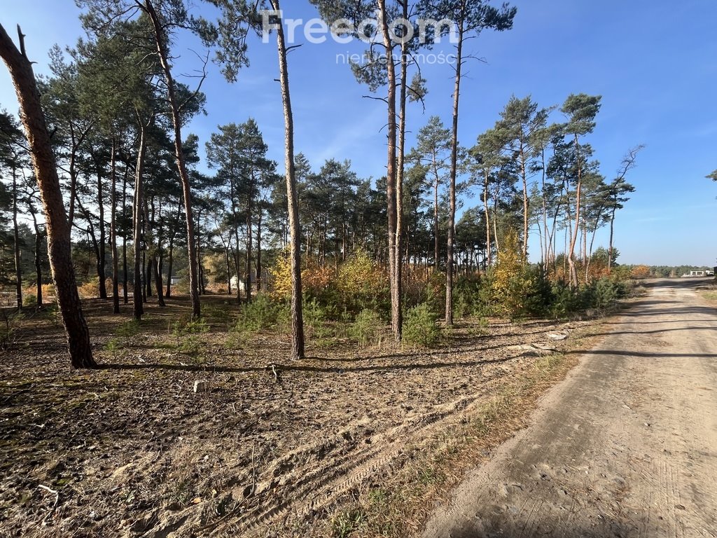 Działka budowlana na sprzedaż Czarne Błoto, Górna  1 000m2 Foto 6