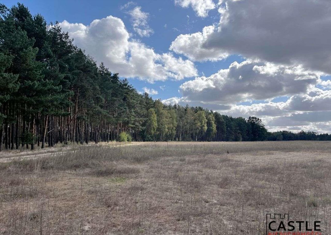 Działka budowlana na sprzedaż Trzciel  1 001m2 Foto 11