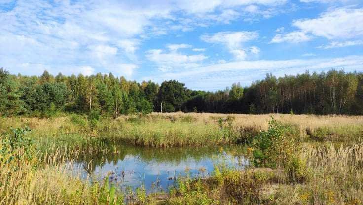 Działka inna na sprzedaż Szprotawa, Sieraków  68 701m2 Foto 10