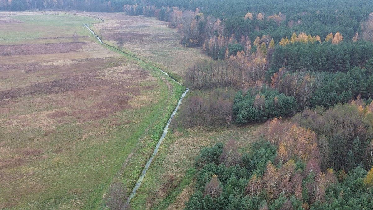 Działka budowlana na sprzedaż Bąkowa Góra, Bąkowa Góra, Bąkowa Góra 26a  1 250m2 Foto 8