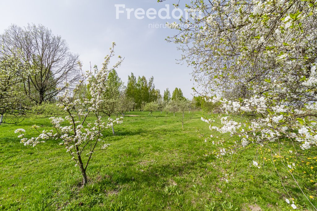 Działka inna na sprzedaż Nasielsk  75 000m2 Foto 6