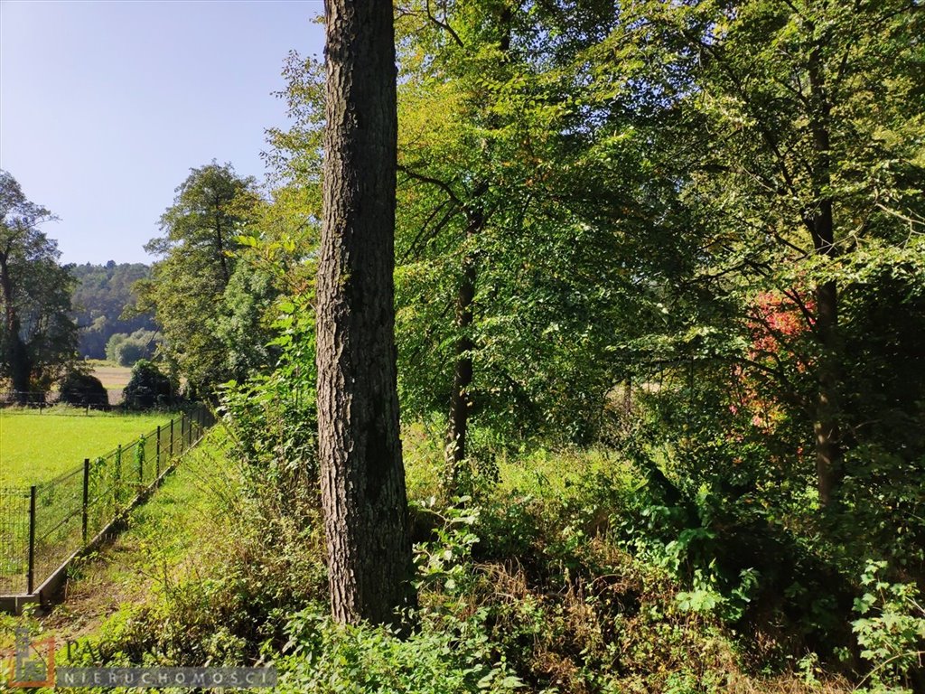 Sprzedam działkę rekreacyjną z źródełkiem 45,56 ara w Januszowicach Januszowice  4 556m2 Foto 1