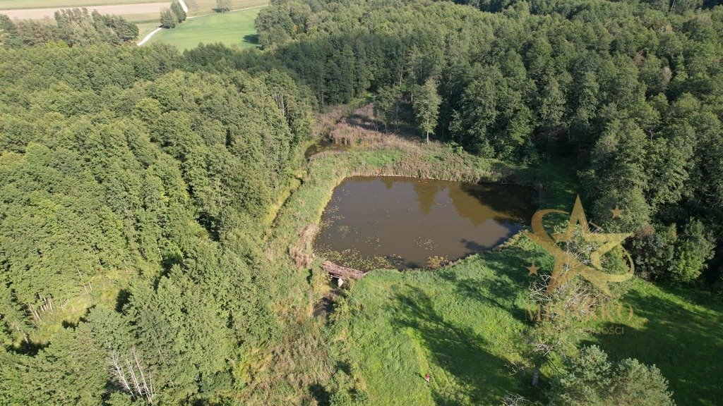 Urokliwa działka 5,96 ha z wodą i potencjałem Morgi  59 600m2 Foto 1